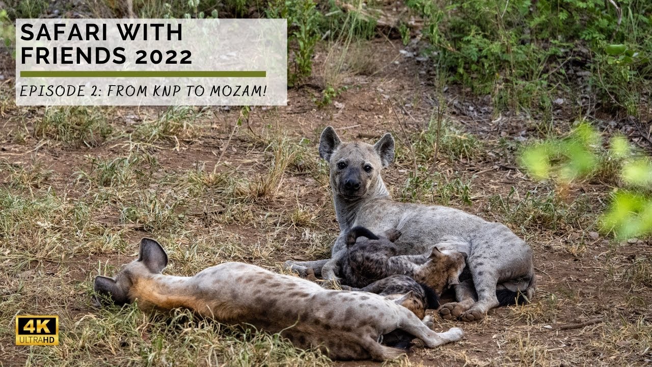 From Kruger Park to Mozambique! | Safari with Friends 2022 | Episode 2