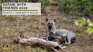 From Kruger Park to Mozambique! | Safari with Friends 2022 | Episode 2