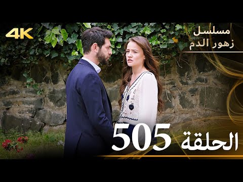 الحلقة 505 مسلسل زهور الدم مدبلج بالعربية Kan Çiçekleri جودة 4K