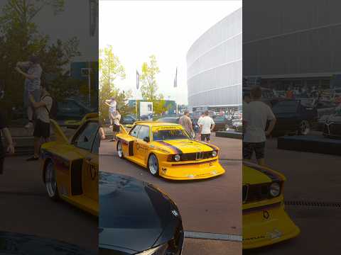 BMW E21 Group