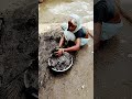 ধান সেদ্ধ করার পর পরিষ্কার করা