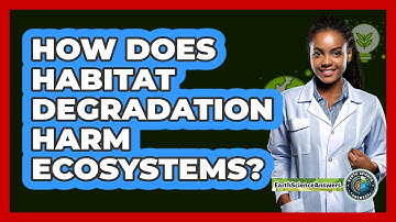 How Does Habitat Degradation Harm Ecosystems? - Earth Science Answers