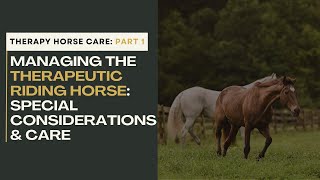 Therapy Horses: Managing the Therapeutic Riding Horse: Special Considerations & Care- Part 1