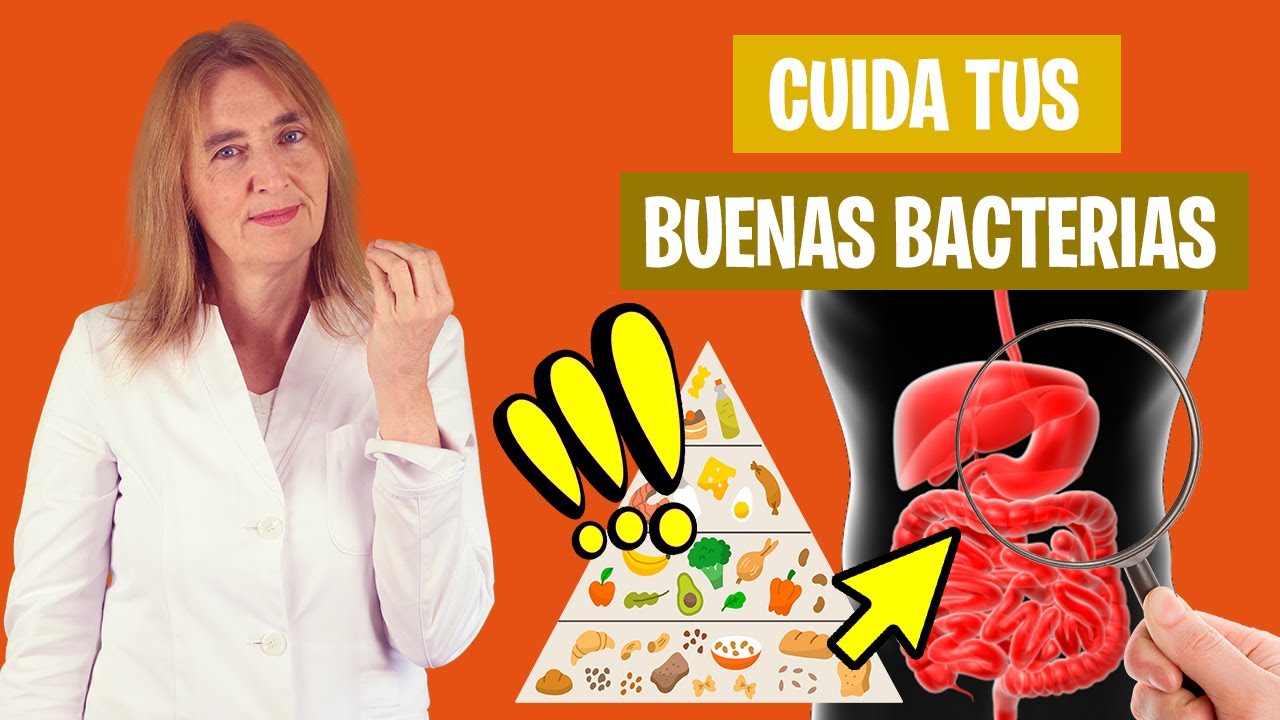 USA estos PREBIÓTICOS para tu SALUD INTESTINAL | Alimenta tus bacterias buenas | Nutrición y Salud