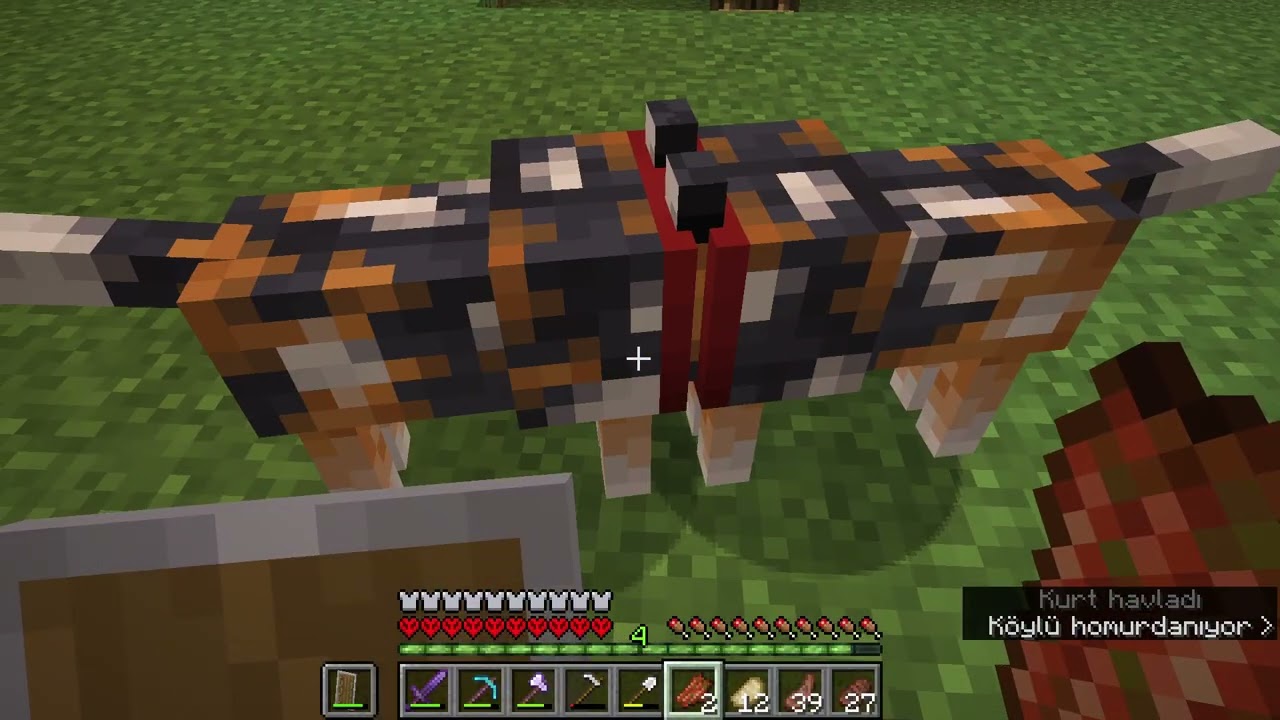 minecraft ada 21 bölüm yeni bir depoo!!!