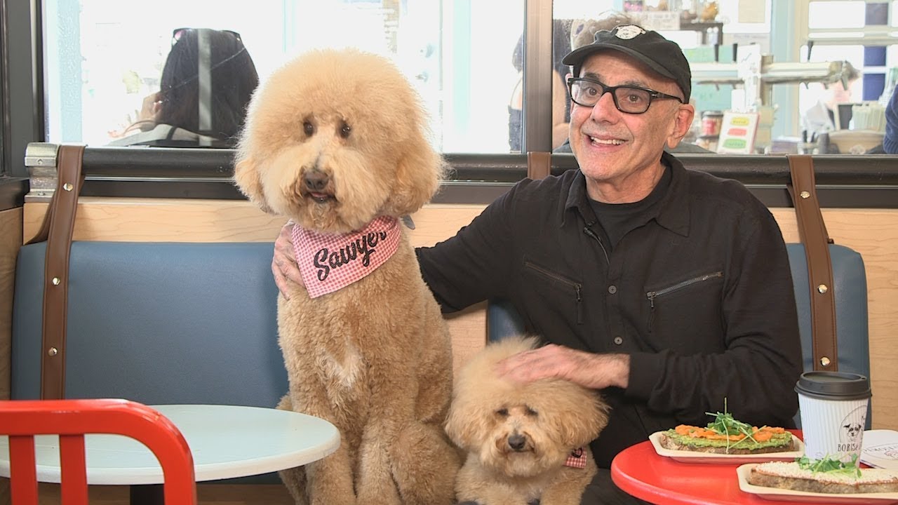 Doodles Visit New York City's First Dog Cafe
