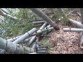 竹切り　竹間引き　チェーンソー　伐採　竹 の動画、YouTube動画。