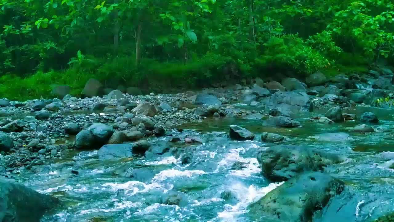 River Flowing Sounds🌿💧 Calm River Water Flow for Sleep