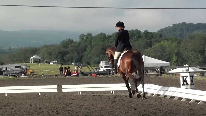 Amy Goodnow & My Maine Man Millbrook Horse Trials ...