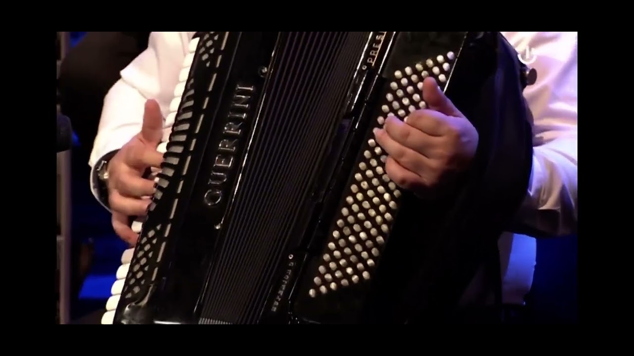 Haris Dzananovic Malo je malo dana BHT1 LIVE (Tamburasi i Vi