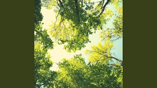 Alluring Calming Notes