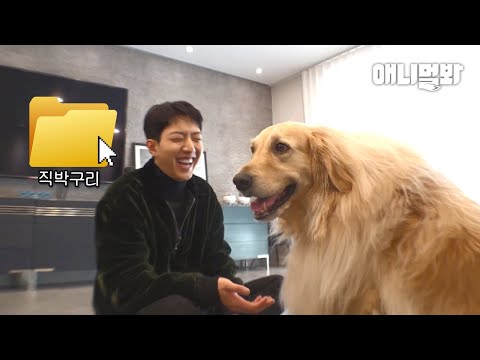 정신친구가 모올래 숨겨둔 직박구리 최초공개 (이상한 생각은 하지 않기로해요)ㅣWhat Happened When Jeong-<strong>shin</strong> From CNBLUE Walked His <strong>Dog</strong>