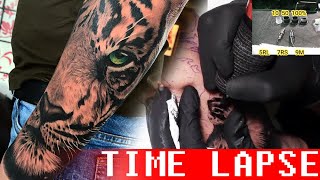 Tiger portrait - Tattoo time lapse