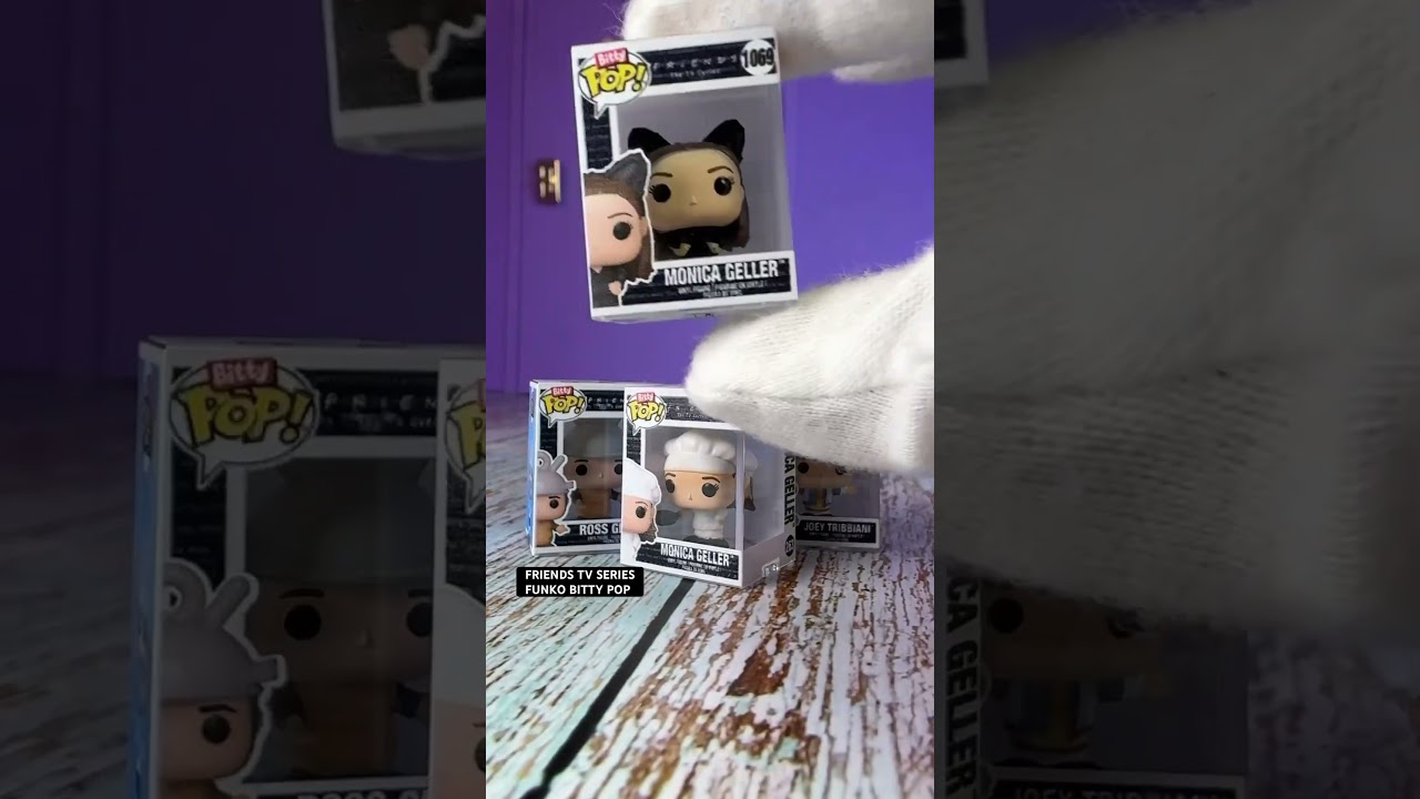 Yup or Nope? FRIENDS TV Series Funko Bitty Pop vinyl figure