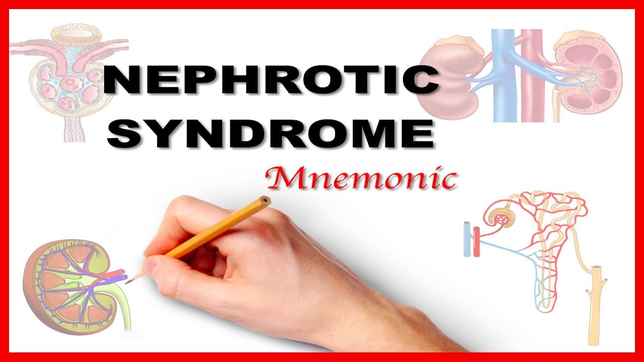 Nephrotic Syndrome Types