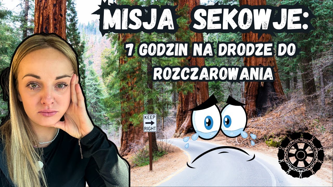 Narodowy Park Sekwoi - Nasza porażka #17