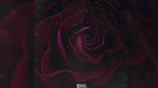 Chris Brown - Him Or Me