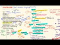 Glycolysis Biochemistry