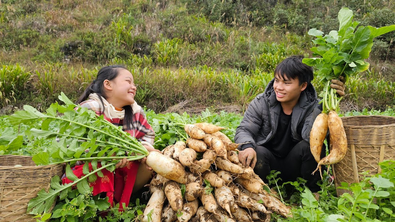 Harvesting White Turnips in the Cold Weather A Family's Journey
