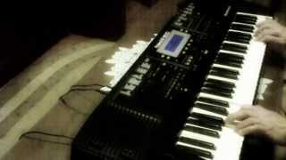 Roland E -300 Elektro style
