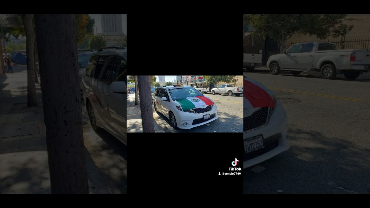 toyota sienna 2017se  vanNiKE