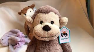 Jellycat medium bashful monkey