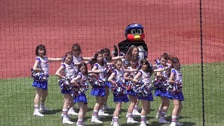 20170604カワイくてカッコいい!からクールでカッコいい!に進化!東京ヤクルト Passion・つばみちゃんのOpening Performance「Run The World (Girls)」