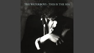 The Waves (2004 Remaster)