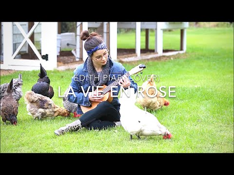 la vie en rose - edith piaf | cover