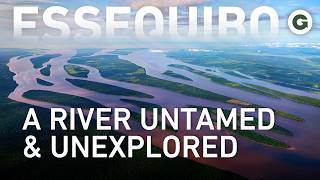 The Living Delta: Power and Wildlife of the Essequibo | Full Documentary