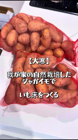 漬け物をつくるための【芋床】を冬に仕込む。 #鬼嫁とボクの田舍暮らし #自給農