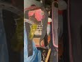 タコが釣れたので持って帰ったら脱走してました