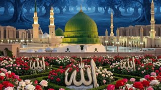 Assalamualaikum live on @Anayaislamics part-5