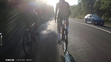 Suncoast Scaffolding 226VGK