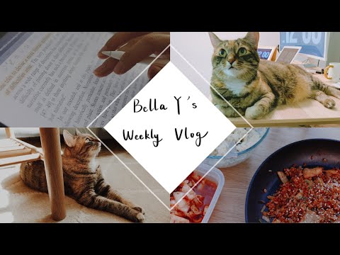 Weekly Vlog | Study With Me | Work From Home | Quarantine Life
