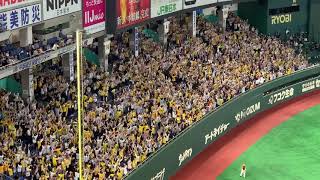 マルテ【2019.5.14】レフトスタンドへ3号ソロホームラン vs巨人 東京 