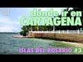 Dónde ir en CARTAGENA, Islas del Rosario #3 | Pepito Viaja