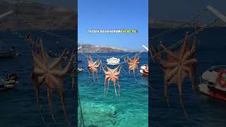 Khám phá kinh tế đảo Santorini - Hy Lạp #EAHRVietNam #HyLap #xuhuong #KinhTeHyLap #share #santorini