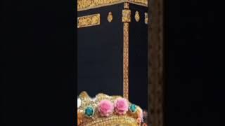 Httpsvttiktokcomzsubghgj3