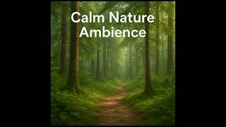 Calm Nature Ambience 🌲 | Peaceful Forest Sounds for Relaxation, Focus, and Sleep