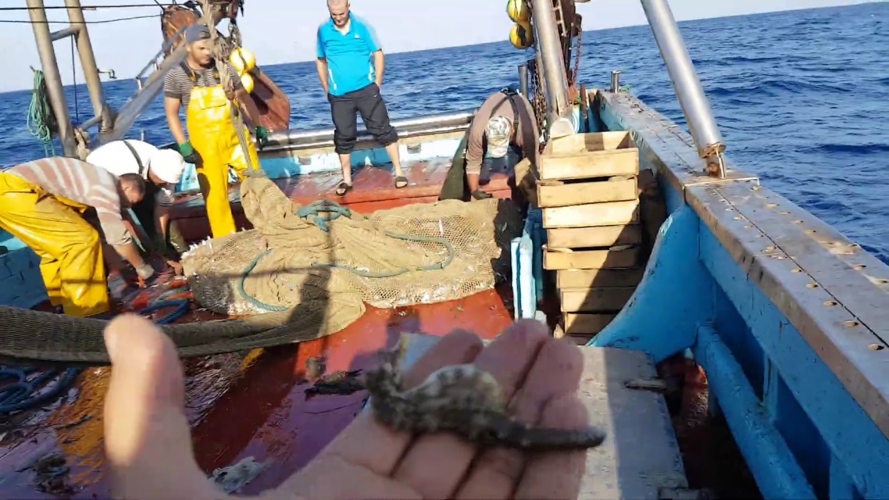 BOUHAROUN Mer&Pêche  - Chalutiers en mode pêche N'oubliez pas de vous abonner et de partager.