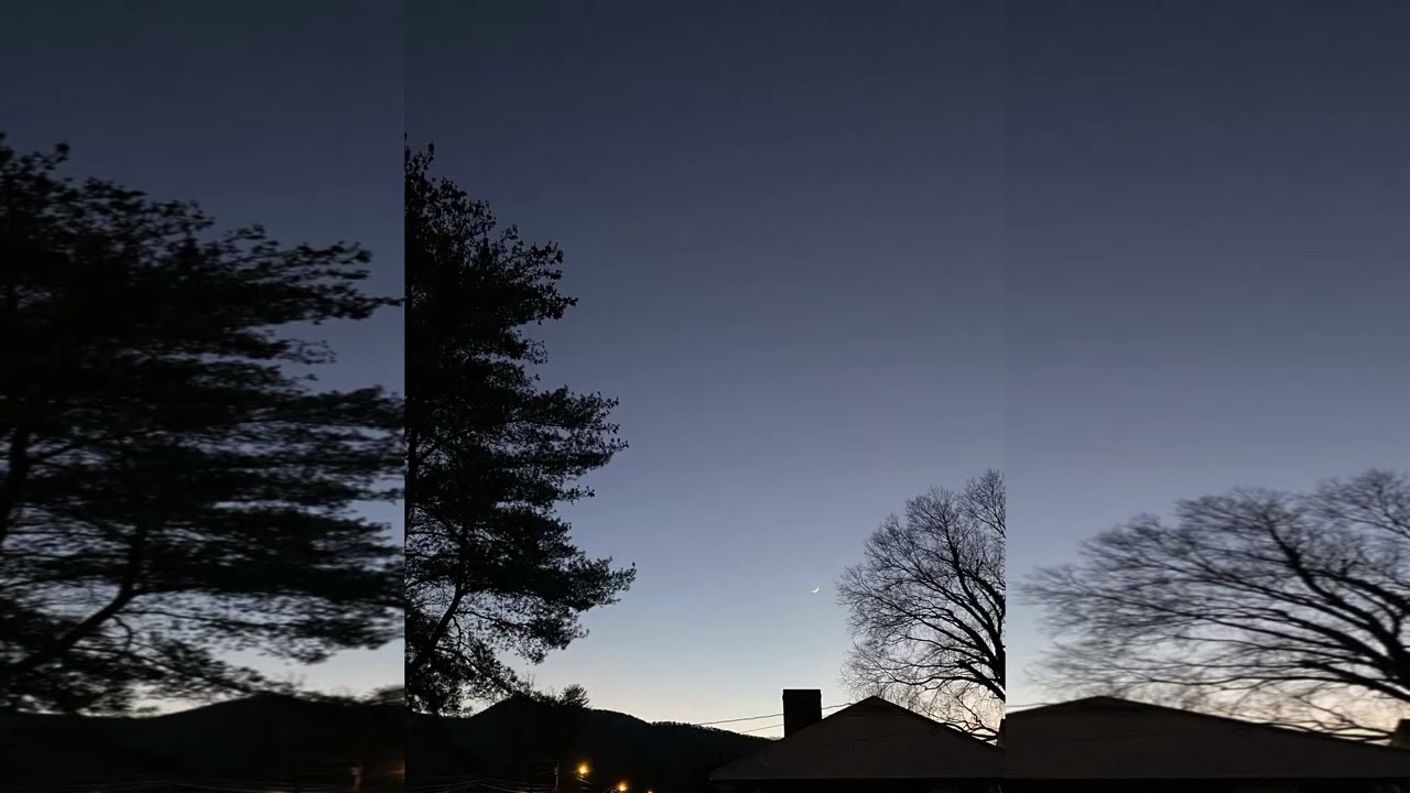 Jolue - Back to you (prod. under the maple tree)