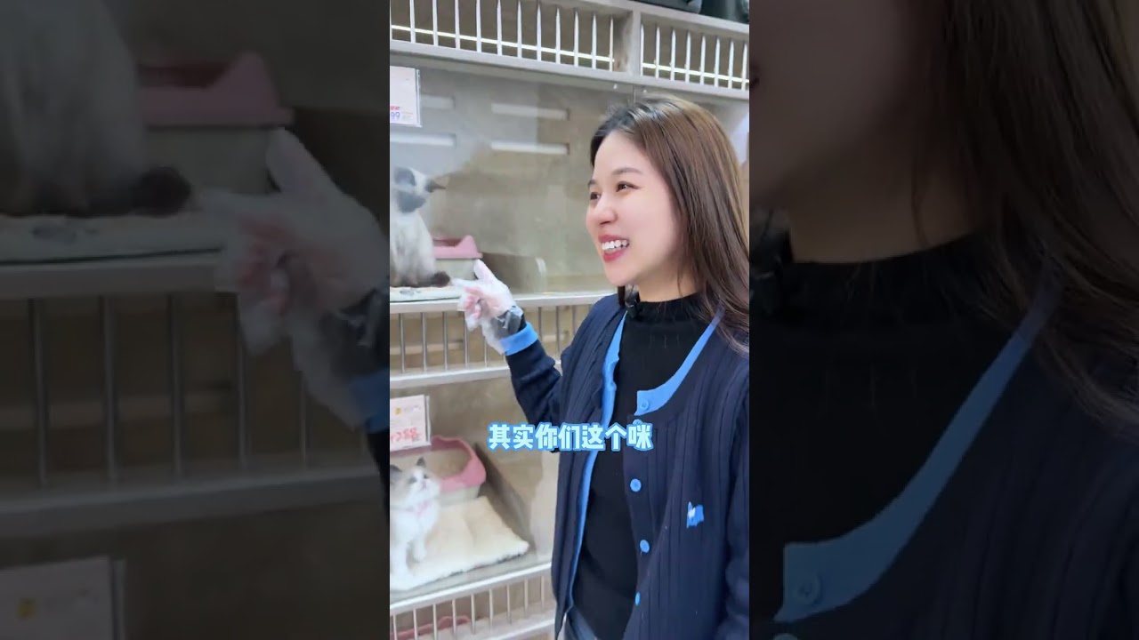 The fans almost fell into the trap of cat loans but still chose to trust Sister Mi#Cat