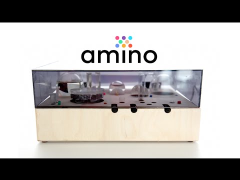 Amino Labs present the Amino