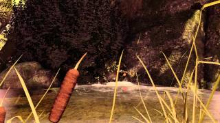 Fable Legends - Gamescom 2015 Gameplay #2