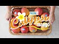 How to enjoy calypso all year round  perfection fresh australia