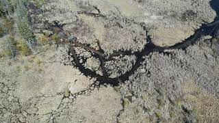 DJI 0022