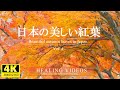 【癒し】日本の美しい紅葉と癒しBGM - VOL.4／疲れた心身の回復・リラックス効果・目覚めの朝や眠れない夜にもどうぞ。「4K風景映像・実写」