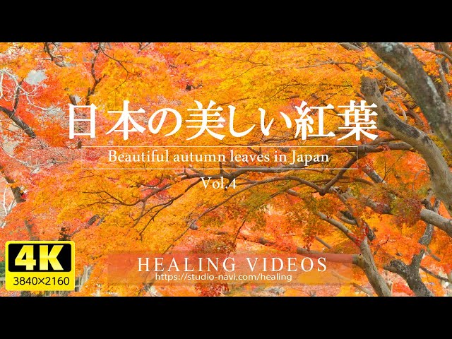 オリジナルヒーリング音楽創ります⭐︎自分を変えて前に進みたい方、自分だけの癒し音楽 sddefault.jpg