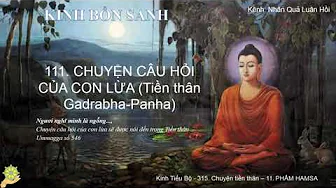 111 Truyện CÂU HỎI CỦA CON LỪA Tiền thân Gadrabha Panha K.Bổn Sanh, Bổn Sự 